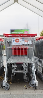 gray and red shopping carts