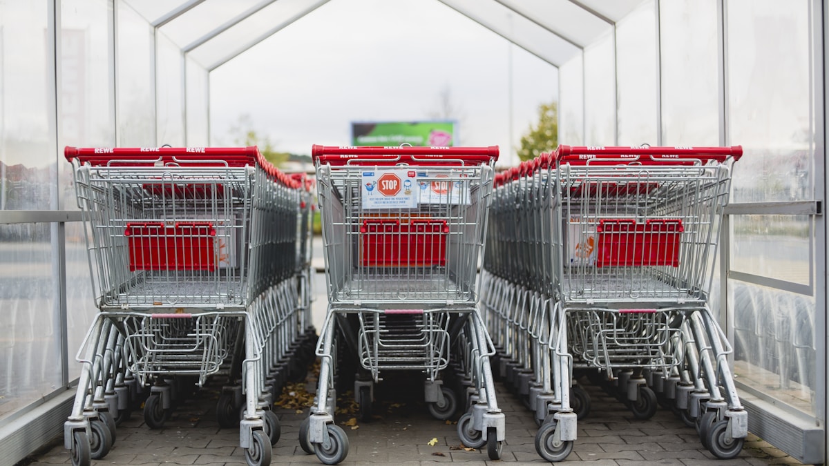 gray and red shopping carts