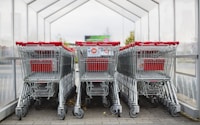 gray and red shopping carts