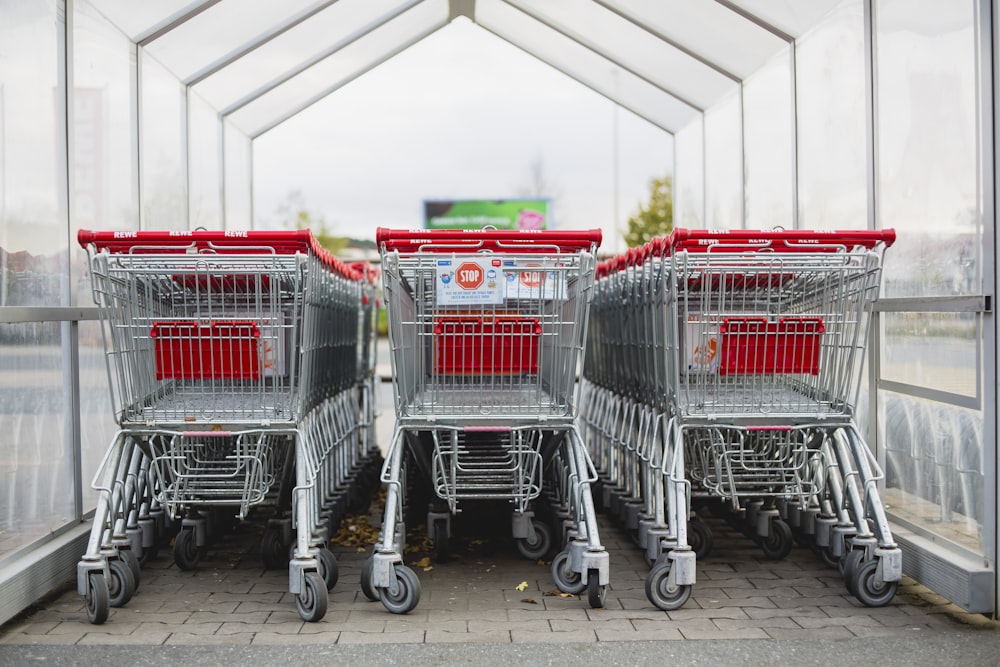 gray and red shopping carts