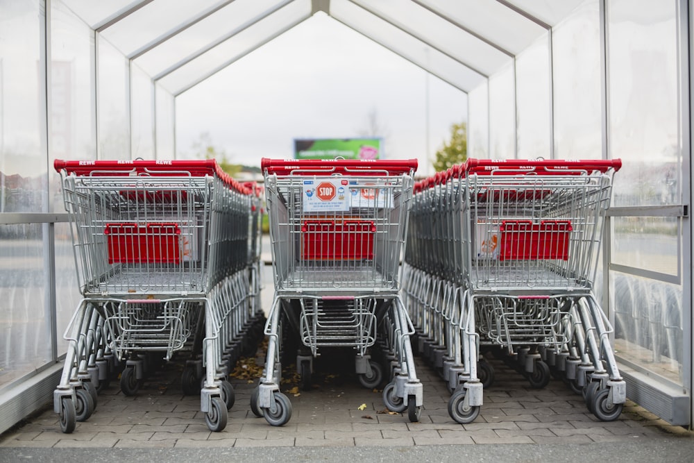 Carrinhos de compras cinza e vermelho