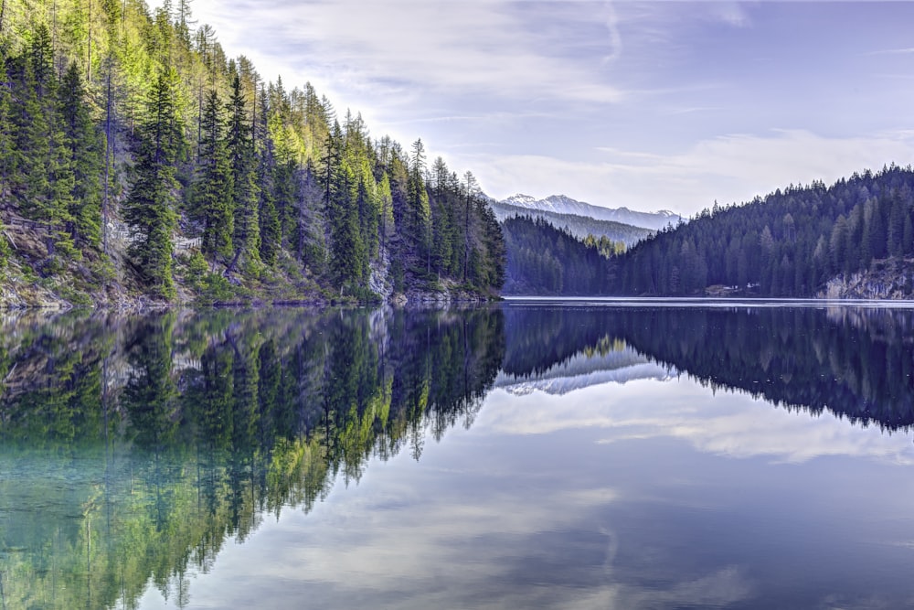 reflection of trees on body of water during daytime