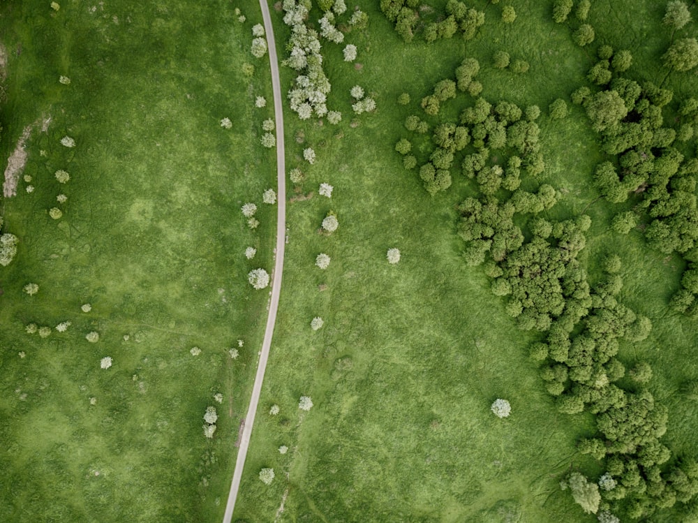Vista aérea da estrada em planícies de grama