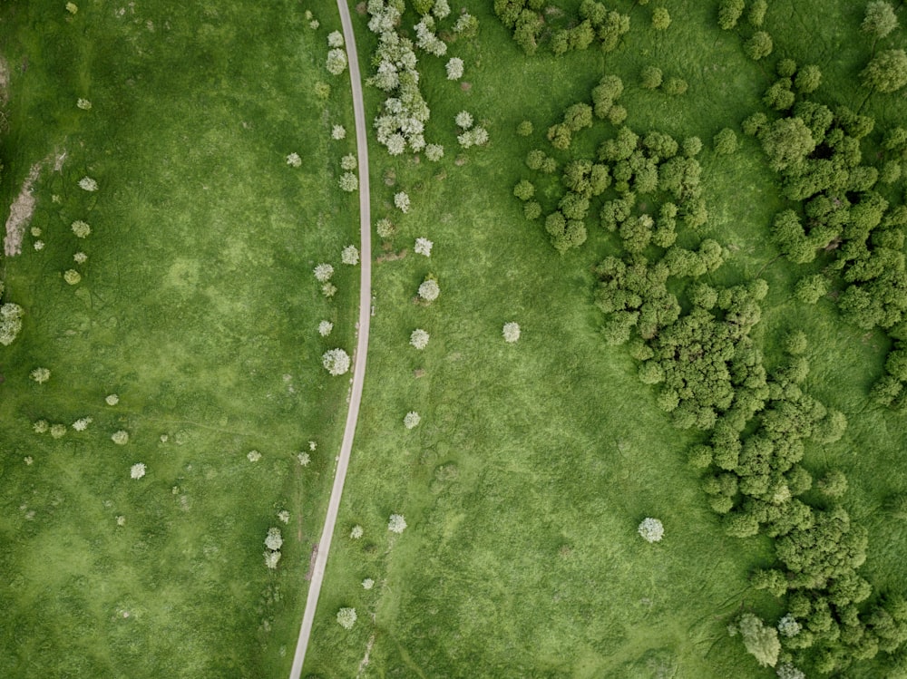 aerial view of road on grass plains