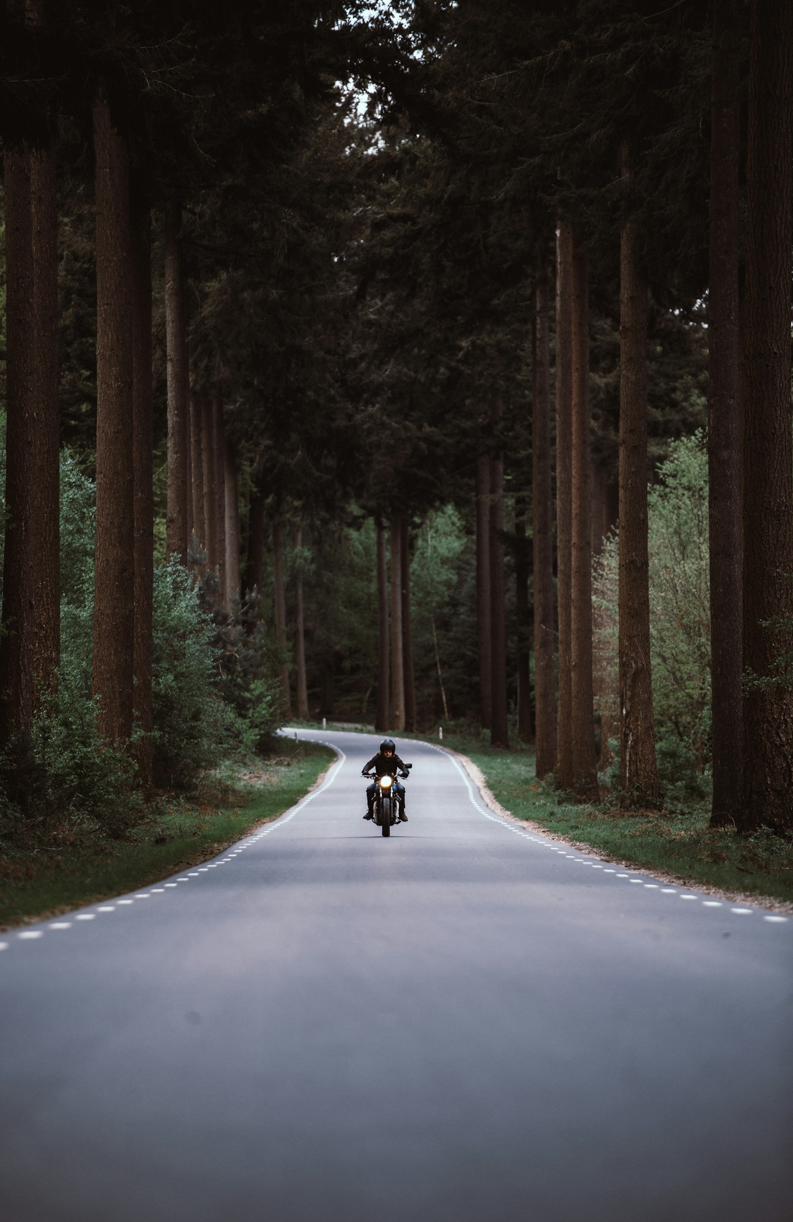 Nikon D800 + Nikon AF-S Nikkor 70-200mm F2.8G ED VR II sample photo. Man riding black motorcycle photography