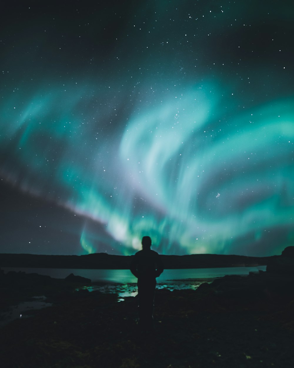 person standing on ground under sky lights