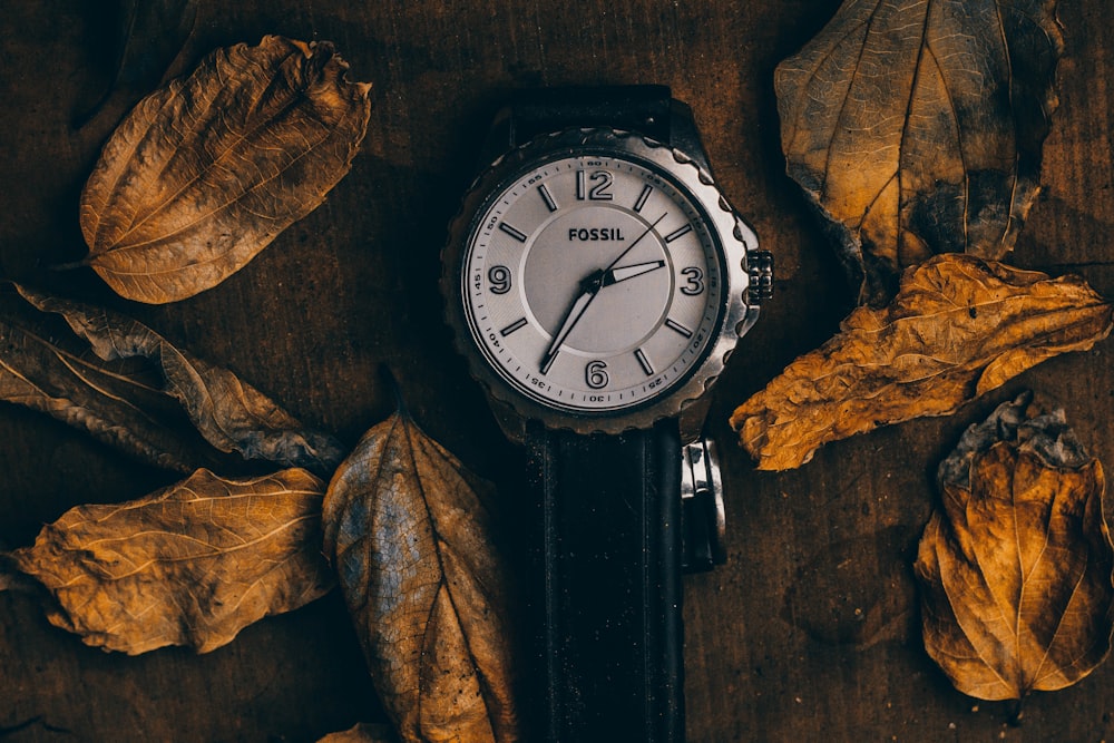 round silver-colored Fossil analog watch with black strap beside dried leaves