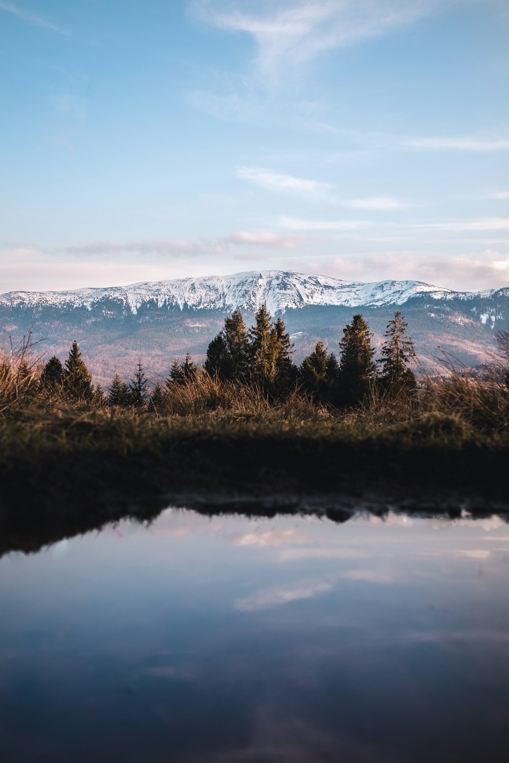 aerial photography of trees beside body of water and mountains at the distance