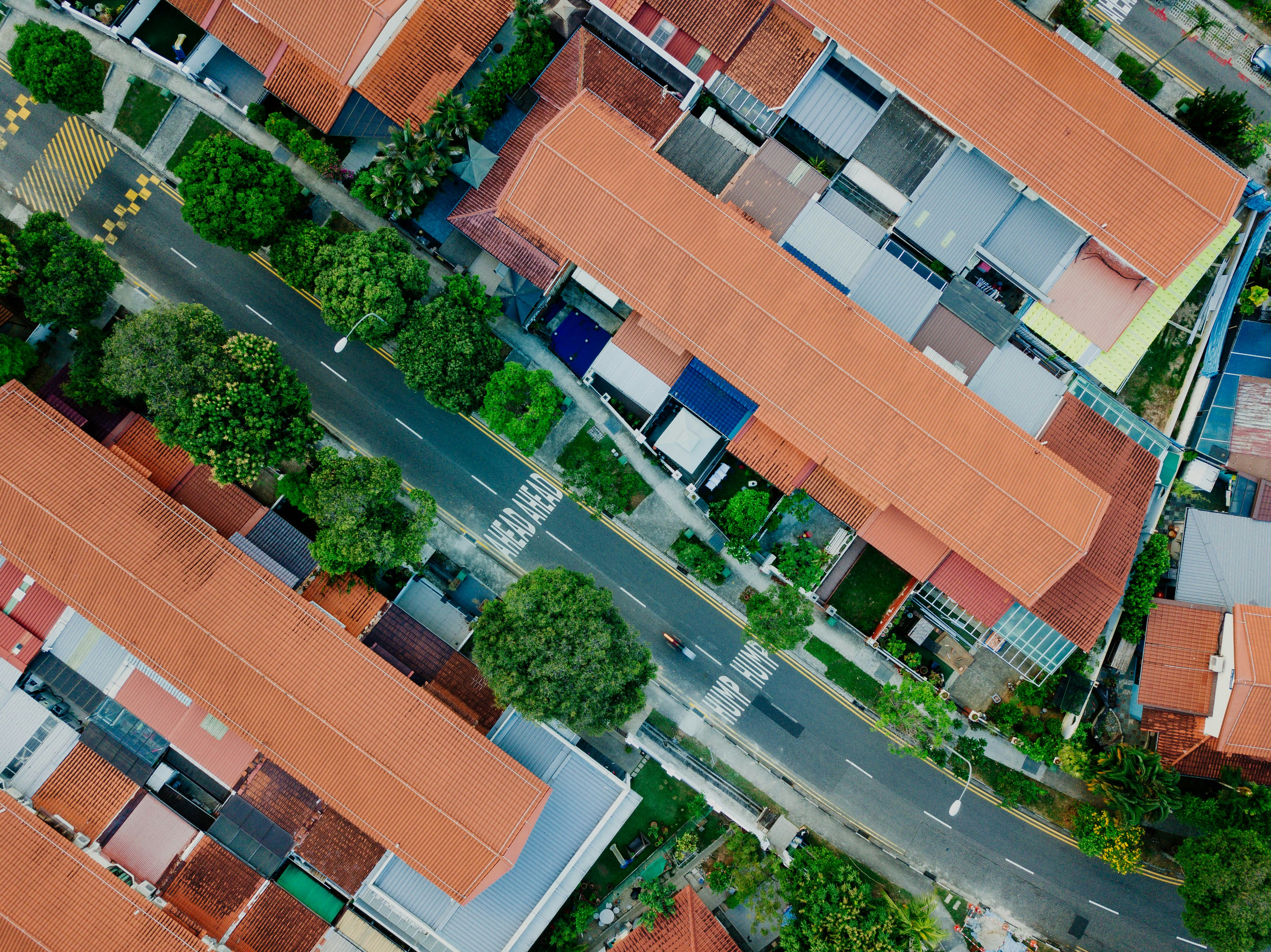 Photo by chuttersnap