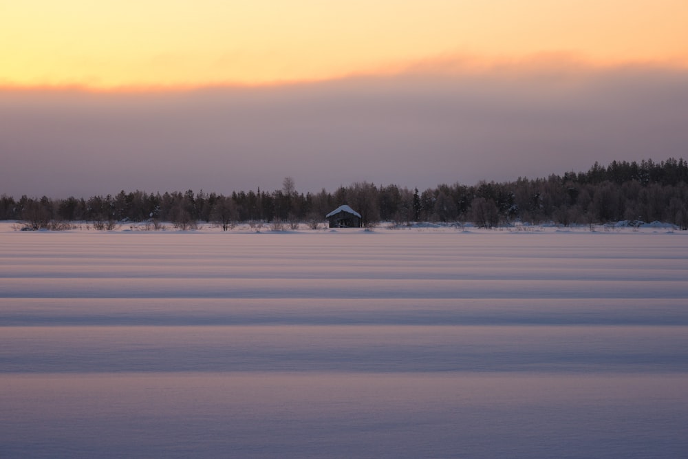 house covered by snow