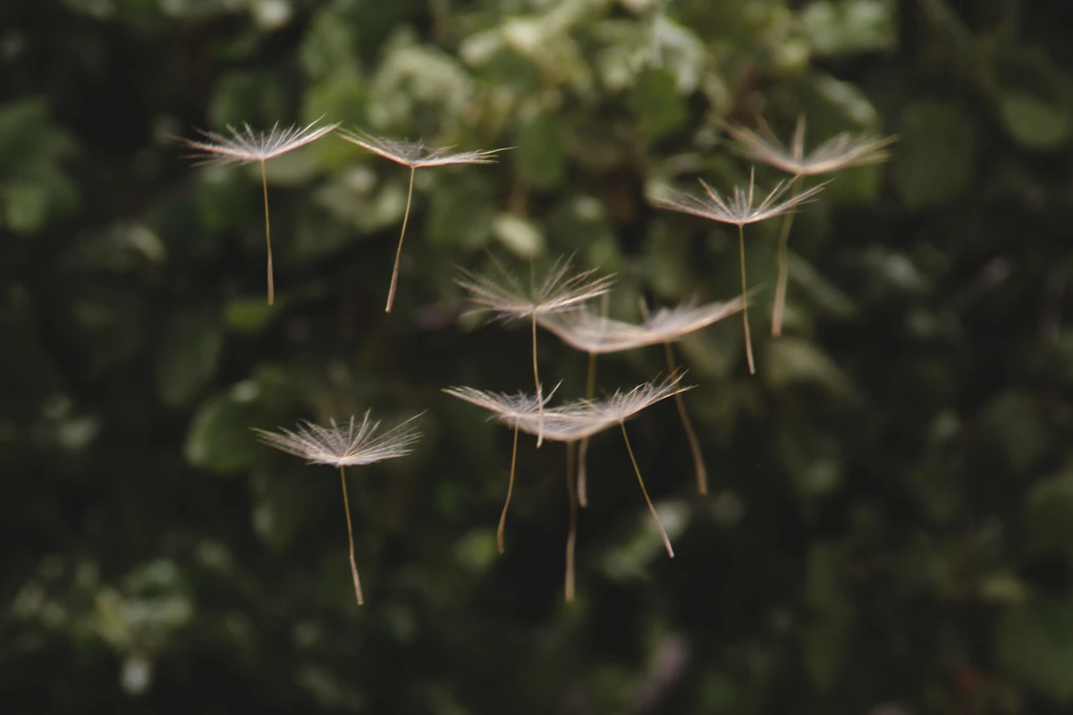 Winter Allergies In Arizona? How Heating Systems Can Make Them Worse