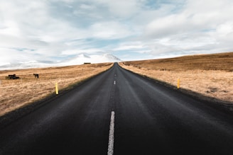 black asphalt road at middle of brown field