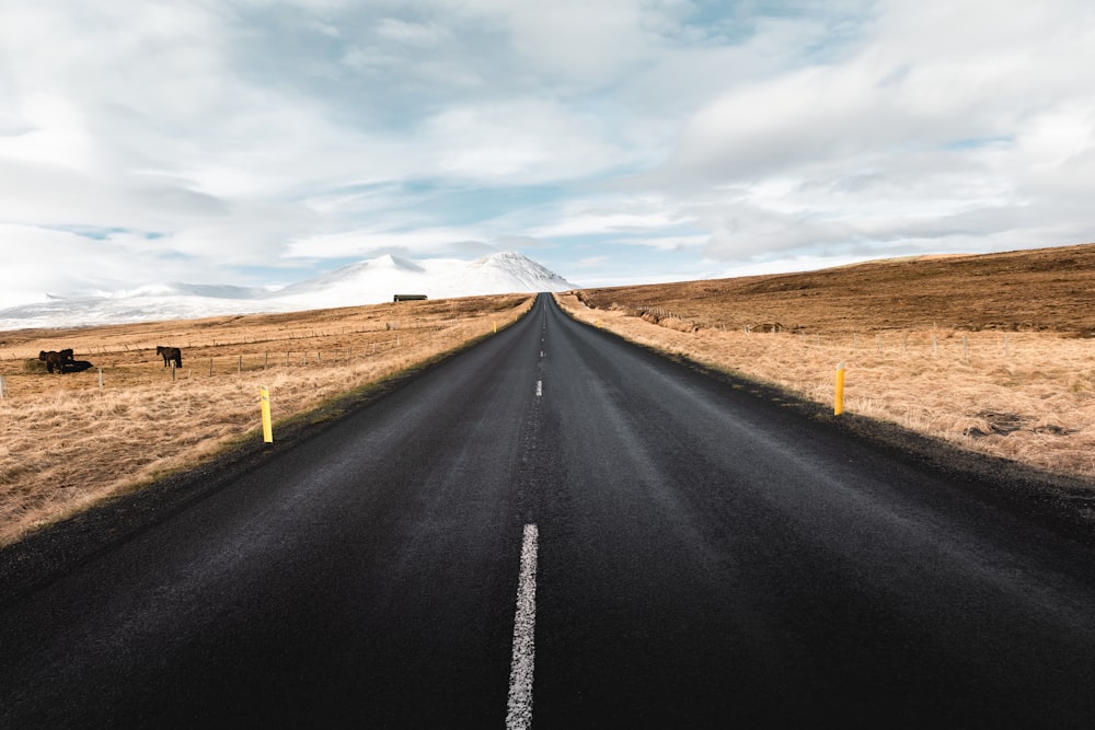 black asphalt road at middle of brown field