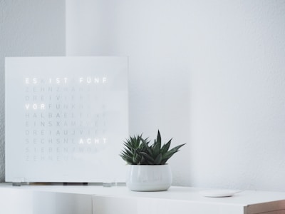 green succulent plant on white sideboard