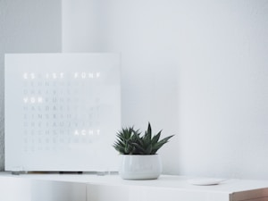 A minimalist interior scene featuring a light-colored word clock displaying words in German on the left side. To the right, a small green succulent plant is placed in a simple white pot atop a white surface. The background consists of a plain, light-colored wall, contributing to the clean and modern aesthetic.