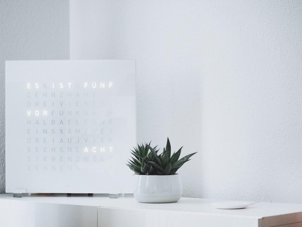 green succulent plant on white sideboard