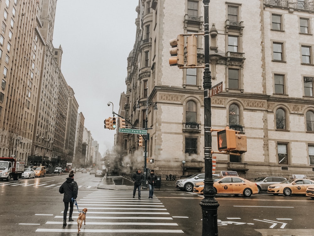 man walking on pedestrian lane