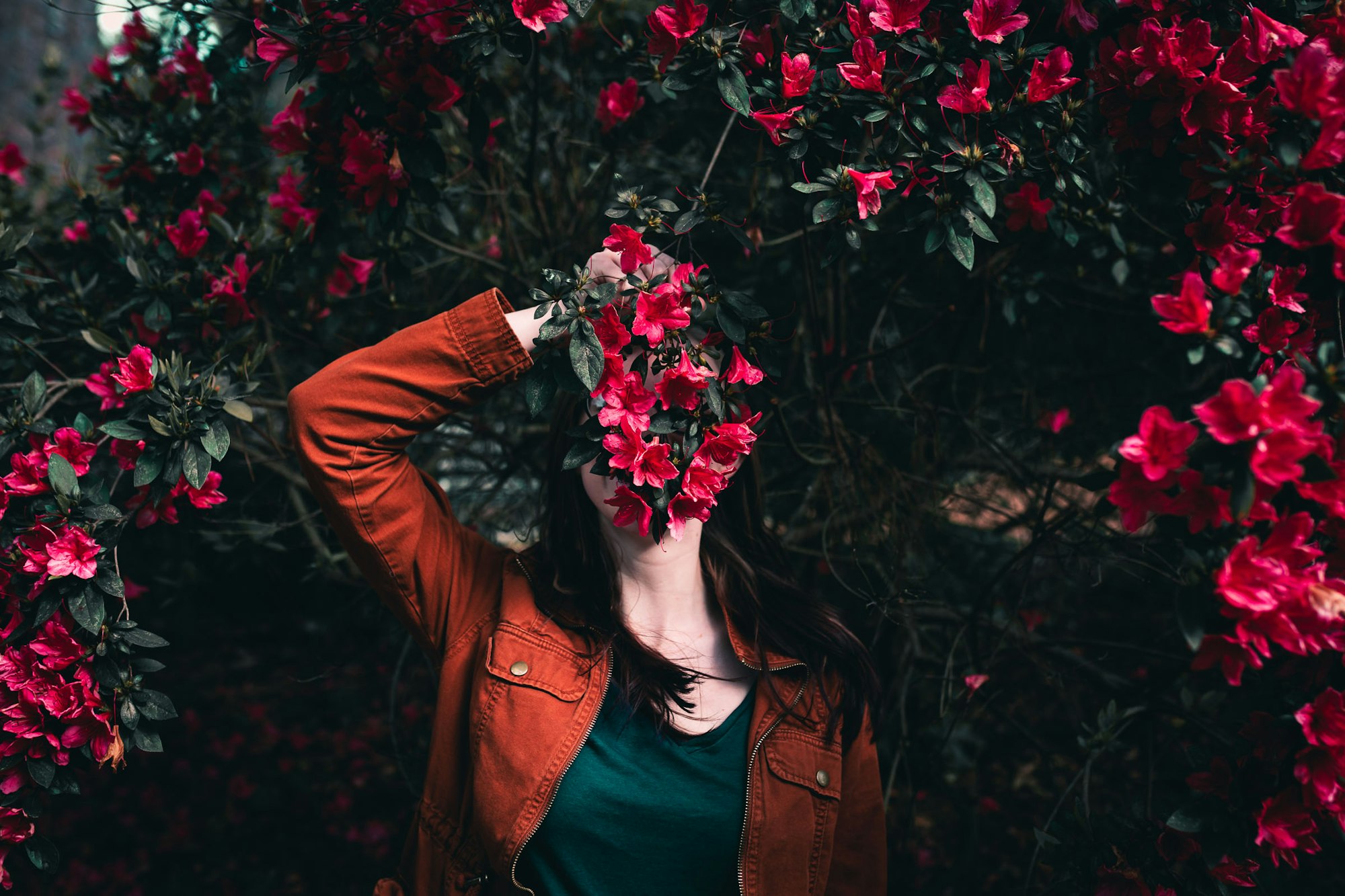 Woman hiding in a bush of pink flowers holding a branch of pink flowers in front of her fac