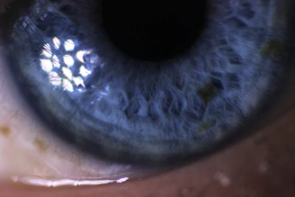 A close-up of an eye showcasing the intricate patterns of the iris.