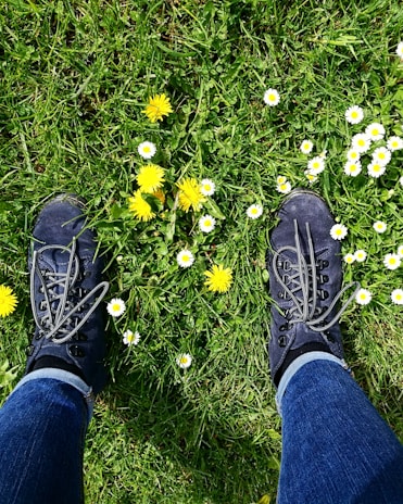 Close-up of hiking boots on a rugged trail with wildflowers blooming nearby.