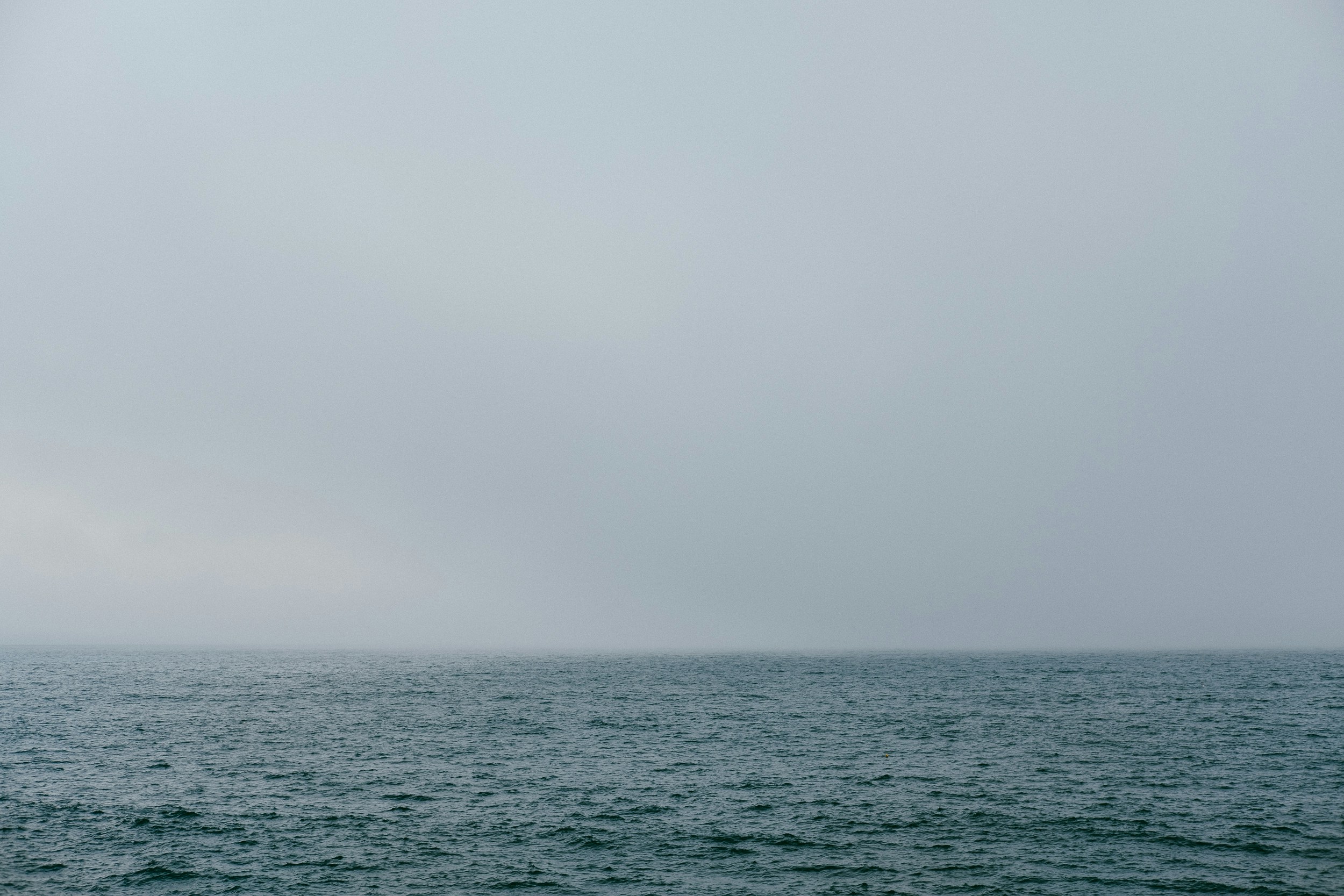 Photo by righteousanchor