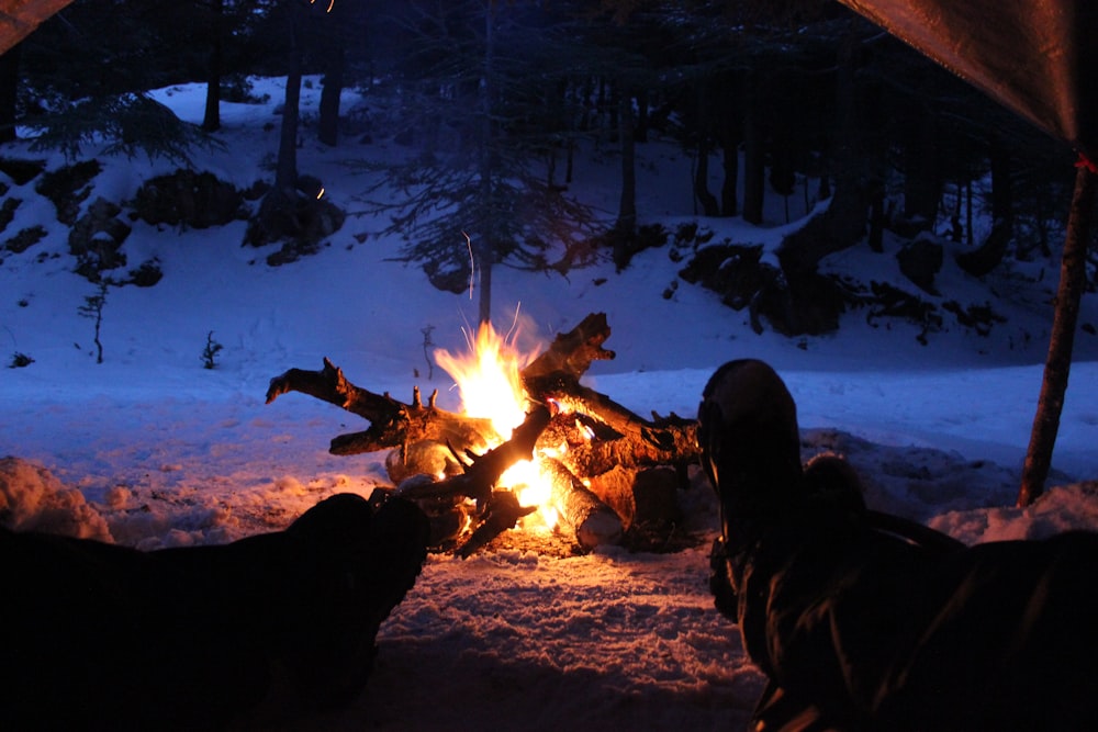 person sitting in front of bonfire