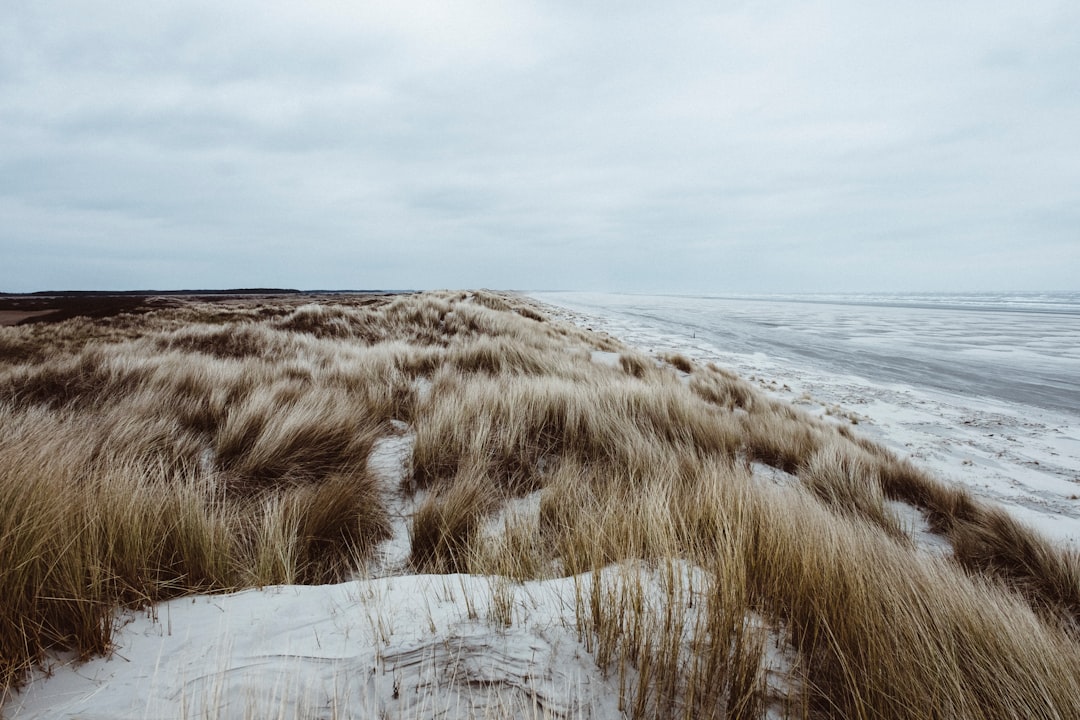 photo of Ameland Ecoregion near De Alde Feanen National Park