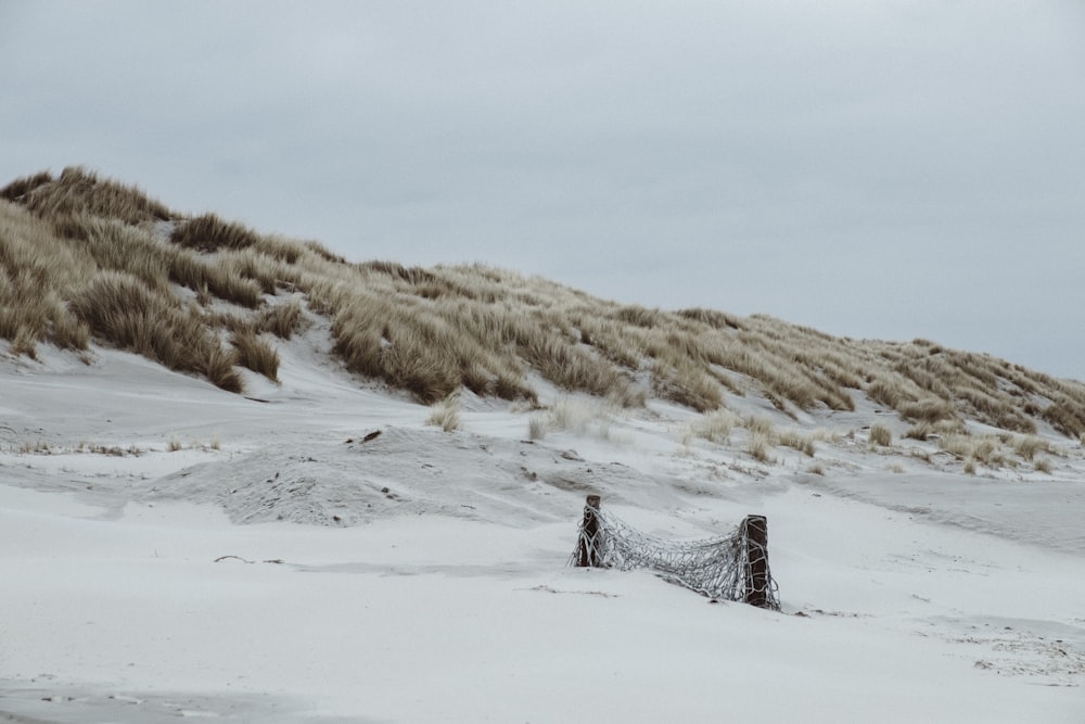 campo coberto de neve