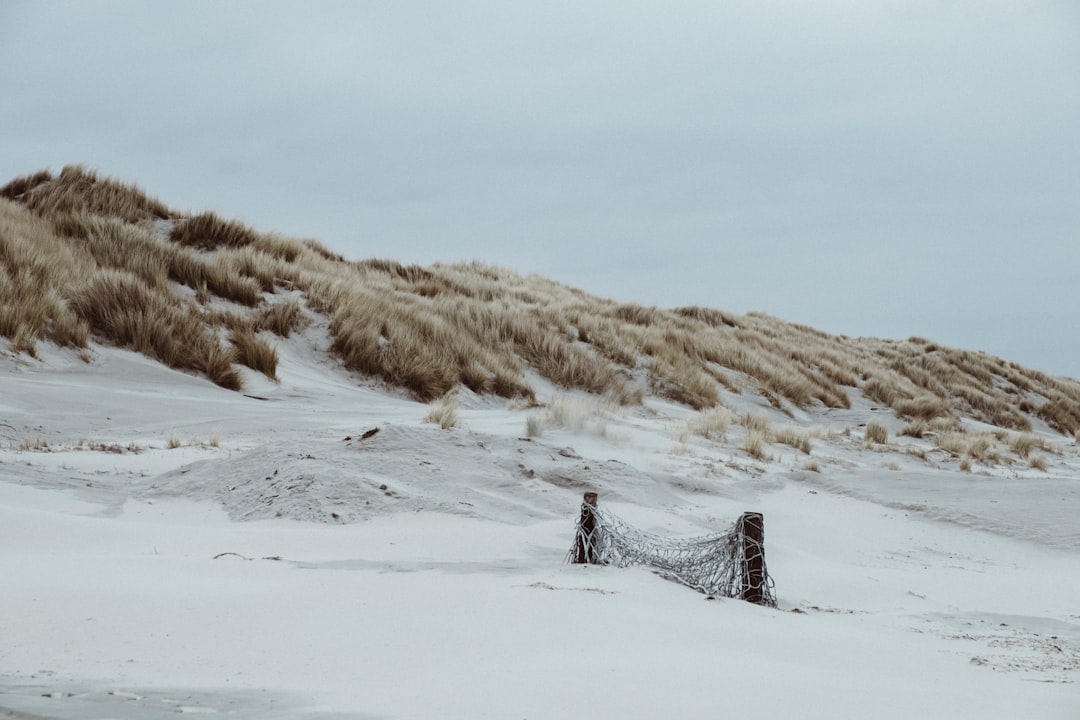 snow covered field