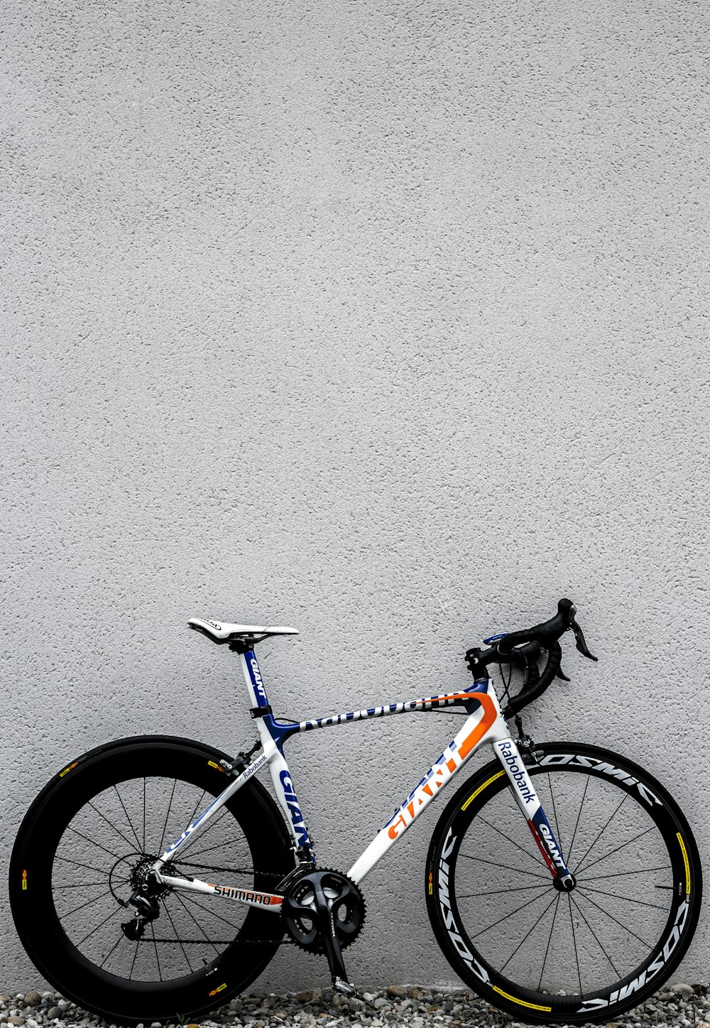 white and black Giant road bike