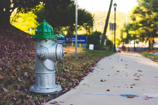 A silver fire hydrant with a green top is situated next to a sidewalk covered with fallen autumn leaves. The background includes trees, a streetlamp, and signs, with a blurred view of a suburban street.