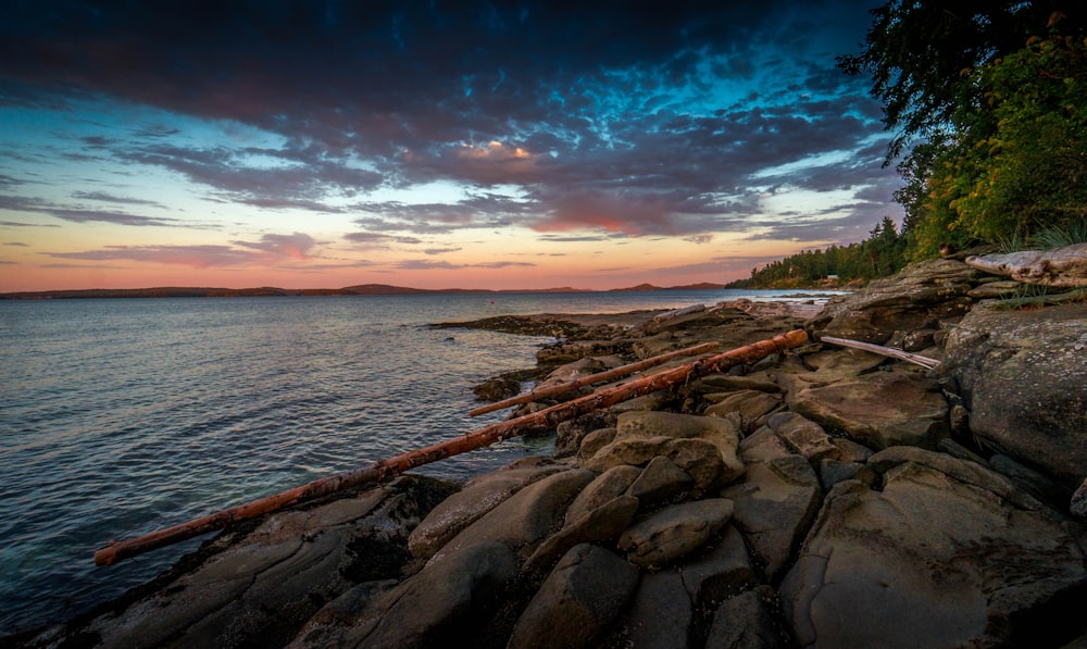 Foto de paisaje de la orilla del mar