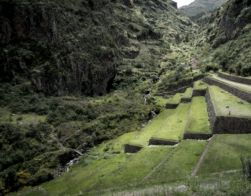 The agricultural terraces and stairways of the Pisac ruins