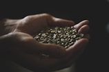 person holding beans in dark room