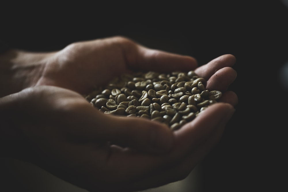 person holding beans in dark room