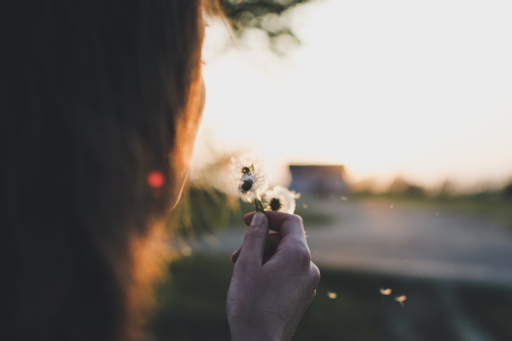 person blowing white dandelion flowers in bloom