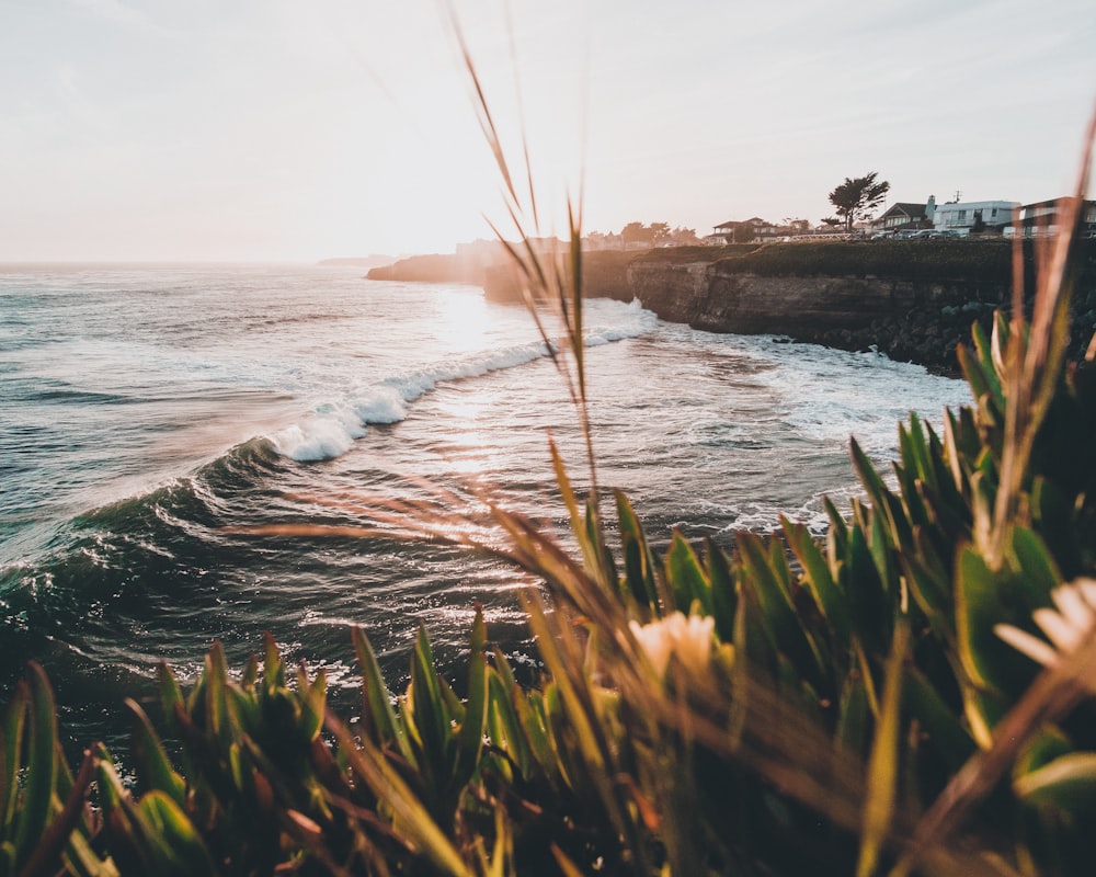 ocean wave near a cliff