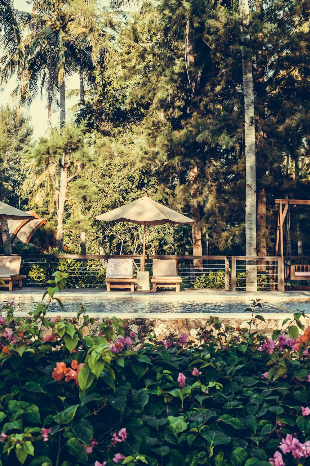 two brown wooden chairs near umbrella surrounded by trees