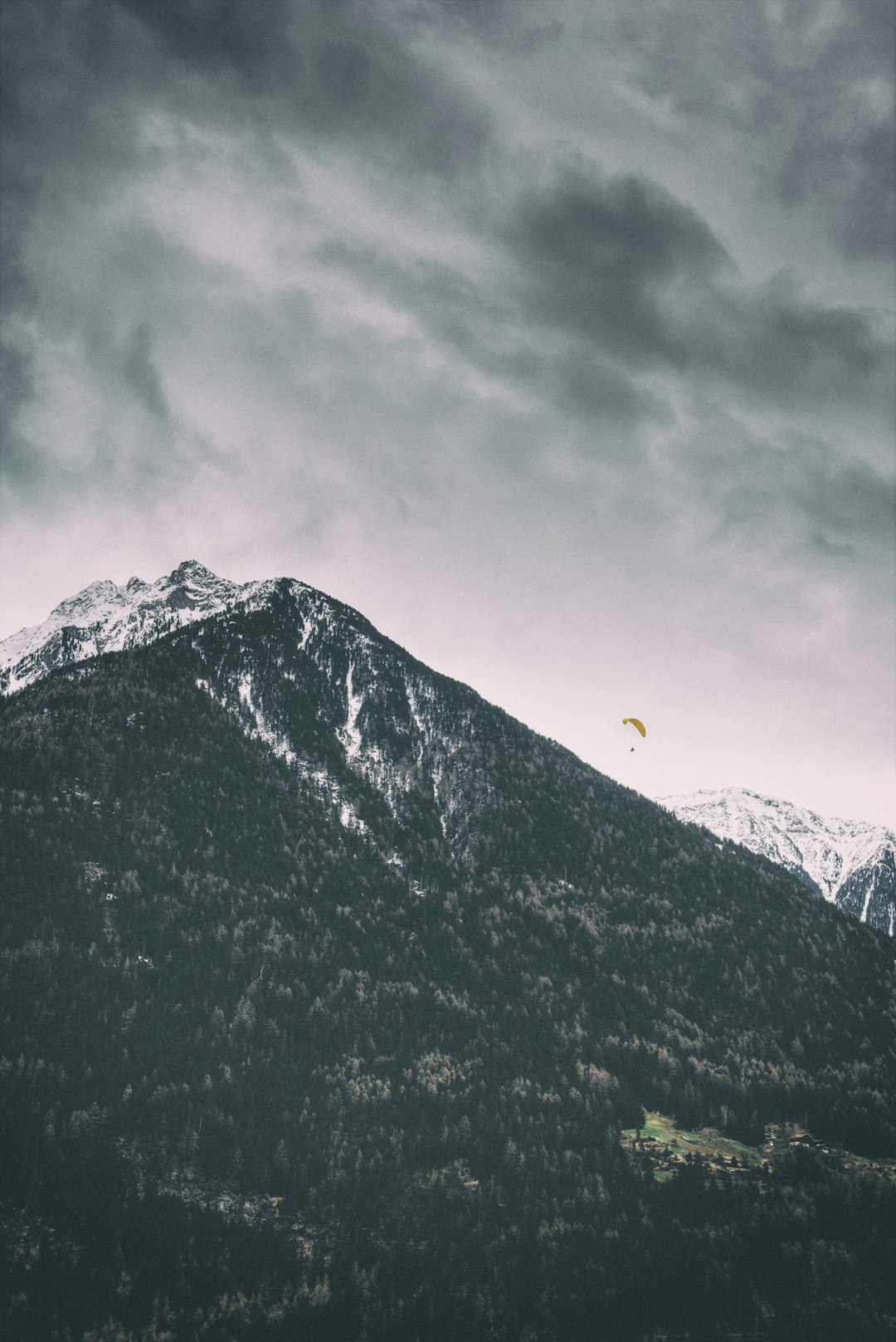 The paraglider