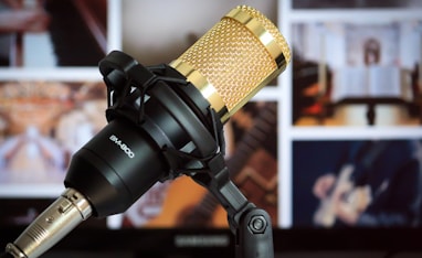 black and brass condenser microphone