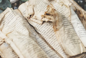 A collection of old, brittle pages spread out on a wooden table, each telling a silent story.
