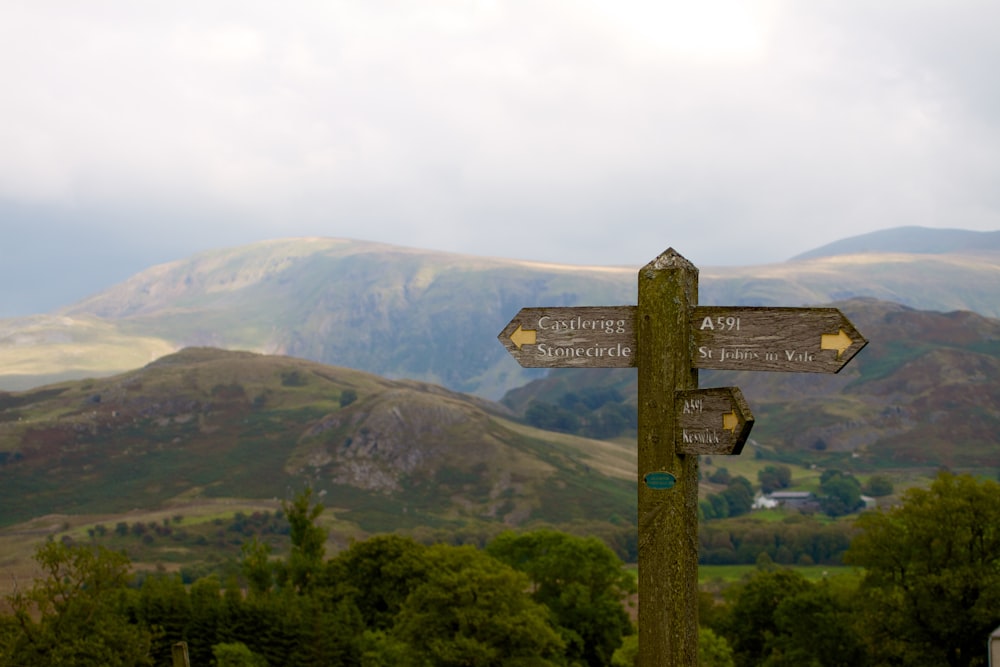 brown wooden road signage