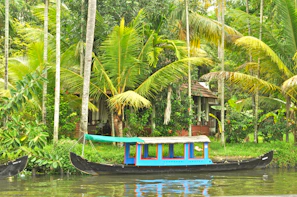 A traditional boat gliding along the winding Amazon river surrounded by dense jungle