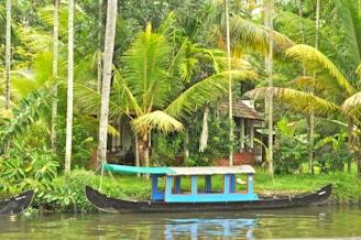 A traditional boat with colorful detailing floats on a calm river surrounded by lush, tropical foliage. Tall palm trees, vibrant green leaves, and a small structure with a thatched roof are visible in the background, creating a serene and picturesque landscape.