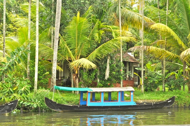 A traditional boat with colorful detailing floats on a calm river surrounded by lush, tropical foliage. Tall palm trees, vibrant green leaves, and a small structure with a thatched roof are visible in the background, creating a serene and picturesque landscape.