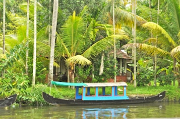 A traditional boat with colorful detailing floats on a calm river surrounded by lush, tropical foliage. Tall palm trees, vibrant green leaves, and a small structure with a thatched roof are visible in the background, creating a serene and picturesque landscape.
