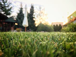 A wide-angle shot of a beautifully landscaped backyard with trees and lawn.