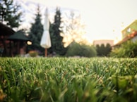 Wide shot of a luxury outdoor living space with seamless artificial turf and lush greenery.