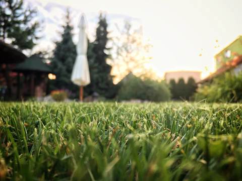 A wide-angle shot of a beautifully landscaped backyard with trees and lawn.