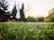 Wide view of a lush green lawn freshly installed in a sunny Plovdiv garden.